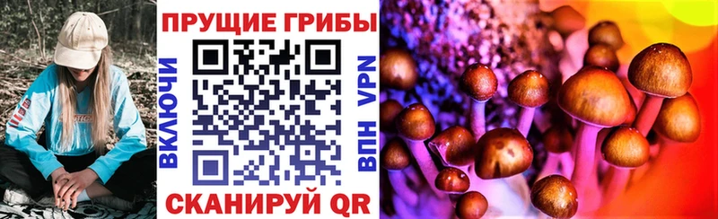 Псилоцибиновые грибы Cubensis  Купить где  Лермонтов 